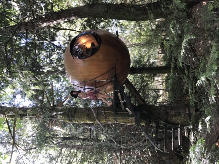 A Treehouse Experience: Free Spirit Spheres - Qualicum Beach, British ...